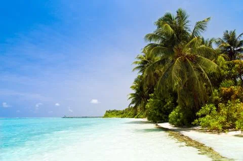 Tropical beach Stock Photos