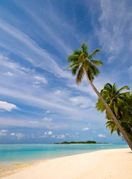 Tropical beach Stock Photos