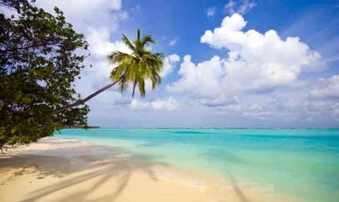 Tropical beach Stock Photos