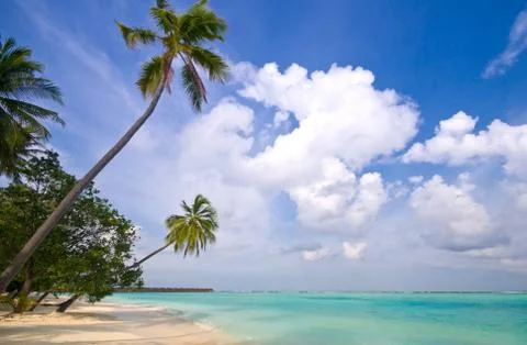 Tropical beach Stock Photos