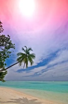 Tropical beach Stock Photos