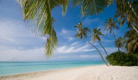 Tropical beach Stock Photos