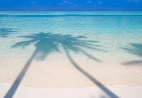 Tropical beach Stock Photos