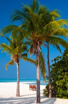 Tropical beach Stock Photos