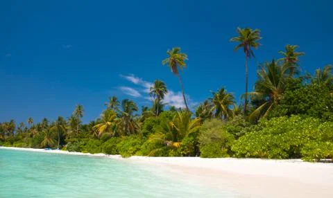 Tropical beach Stock Photos