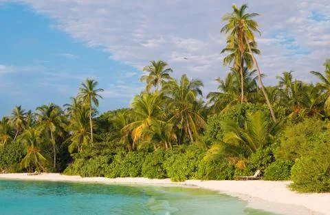 Tropical beach Stock Photos