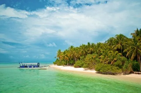 Tropical beach 스톡 사진