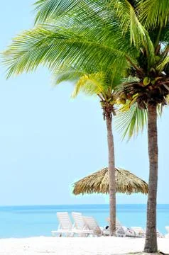 Tropical beach Stock Photos