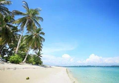 Tropical beach Stock Photos