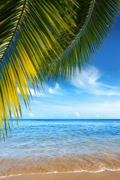 Tropical beach Stock Photos