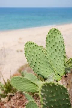 Tropical beach Foto stock