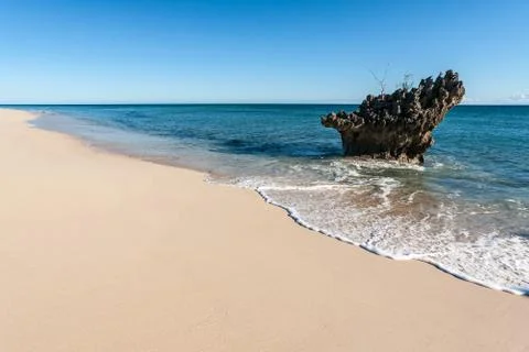 Tropical beach Stock Photos