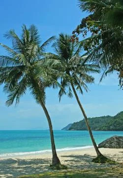 Tropical beach Stock Photos