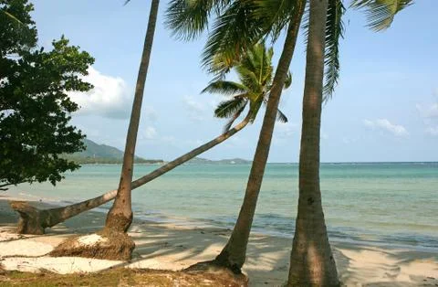 Tropical beach Foto stock