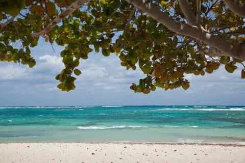 Tropical beach Stock Photos