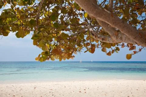 Tropical beach Stock Photos