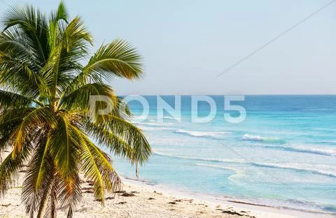 Tropical beach Stock-Fotos