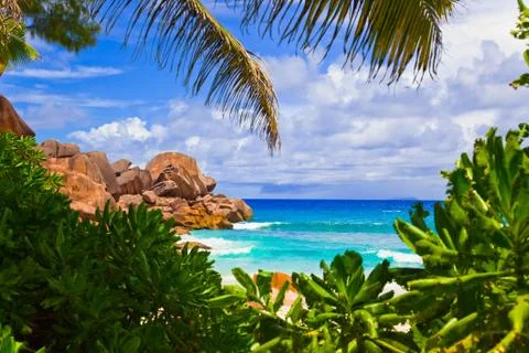 Tropical beach Stock Photos