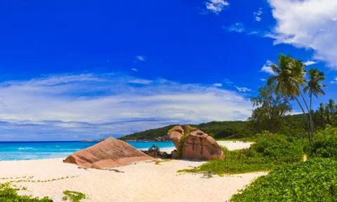 Tropical beach Stock Photos