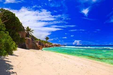 Tropical beach Stock Photos