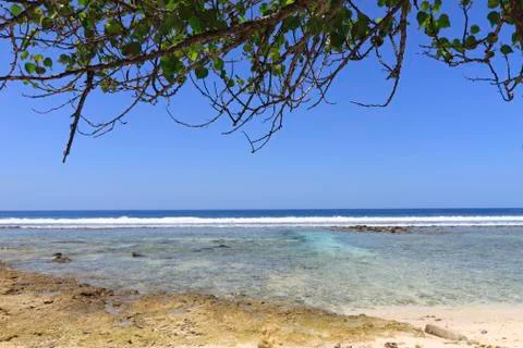Tropical beach Stock Photos
