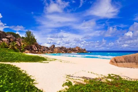 Tropical beach Stock Photos