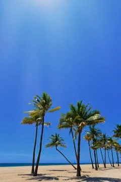 Tropical beach 写真素材