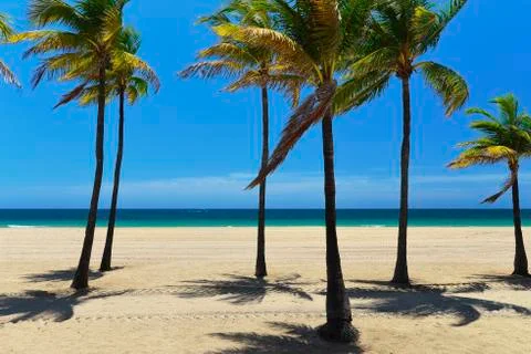 Tropical beach 写真素材