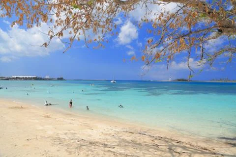 Tropical beach Stock Photos