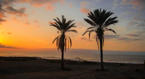 Tropical beach Foto stock
