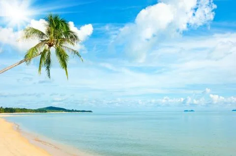 Tropical beach Stock-Fotos