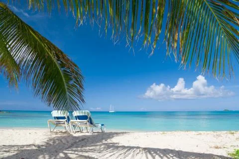 Tropical beach Stock Photos