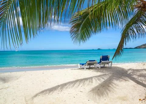Tropical beach Stock Photos