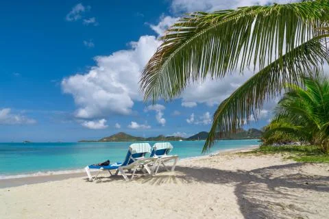 Tropical beach Stock Photos