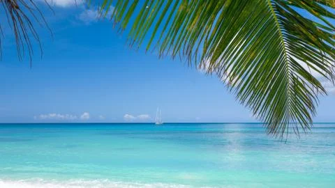 Tropical beach Stock Photos