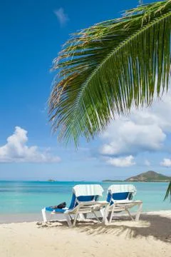Tropical beach Stock Photos