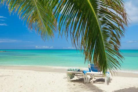 Tropical beach Stock Photos