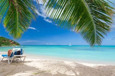 Tropical beach Stock Photos