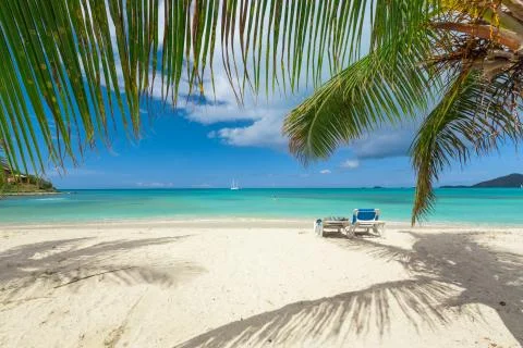 Tropical beach Stock Photos