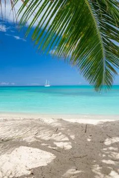 Tropical beach Stock Photos