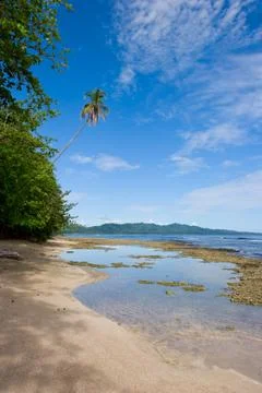 Tropical Beach Stock Photos