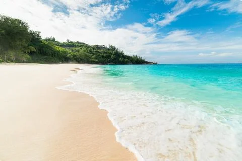 Tropical beach Stock Photos