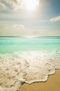 Tropical beach Stock Photos
