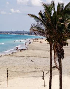 Tropical beach Stock Photos
