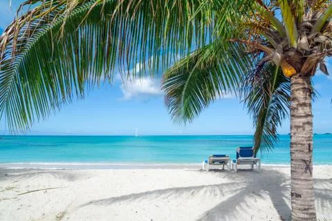 Tropical beach Stock Photos