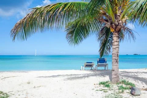 Tropical beach 스톡 사진