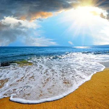 Tropical beach Stock Photos