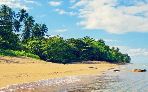 Tropical Beach Foto stock