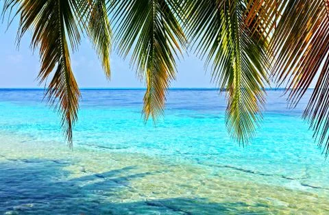 Tropical beach Stock-Fotos
