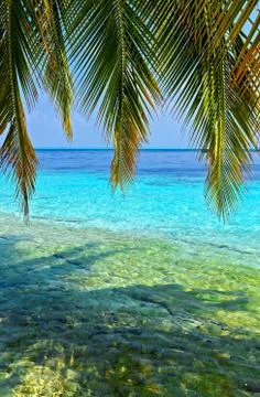 Tropical beach 스톡 사진